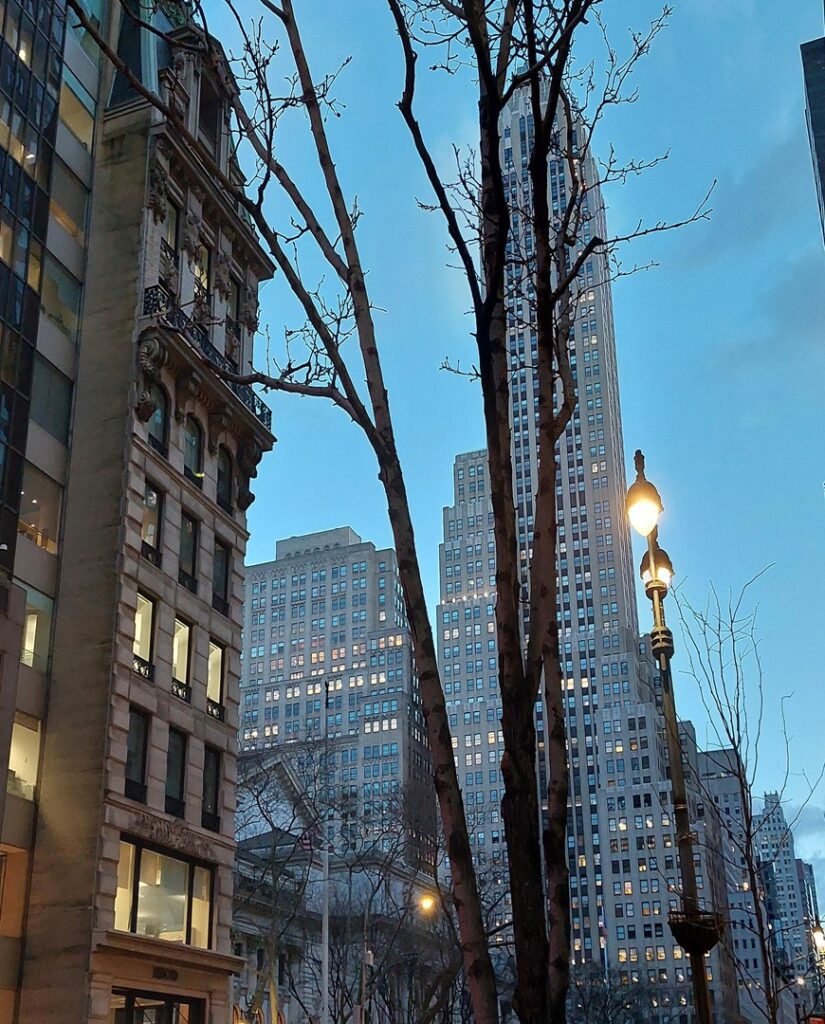 New York skyscrapers at dusk with buildings lit up and a bare spring tree in the foreground